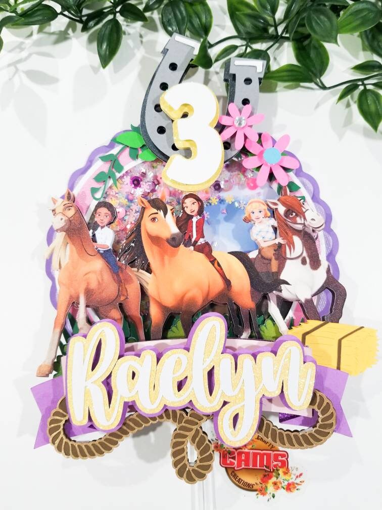 Horse Spirit Party Decorations, Riding Party decor, Horse and Friends party decor